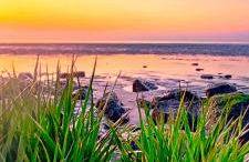 Nordseezimmer Koi - Foto 40