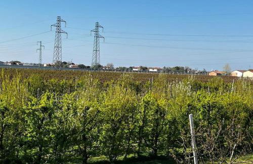 Sotto la luna Casa in campagna - Foto 26