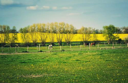 Ferienhaus am Pferdehof - Photo 21
