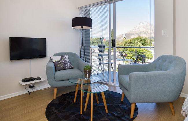 WINK Quiver Tree - Foto 24