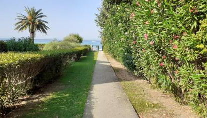 Poseidon - Photo 5, Garden