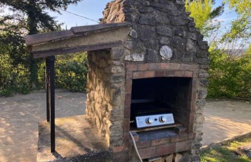 Mazet avec piscine, vue Ventoux - Foto 27