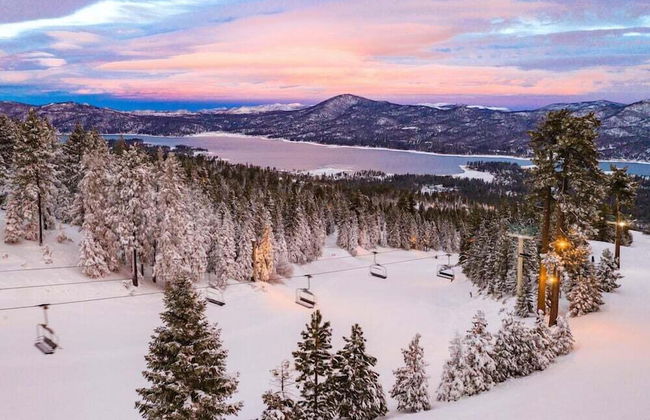 Heavenly Bear #2362 - Foto 14