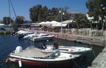 Studios Cosmopolitan - Photo 42