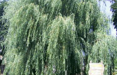 La Bergerie - Foto 19