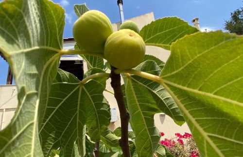 Garden Villa Near Chania's Coastline - Foto 45