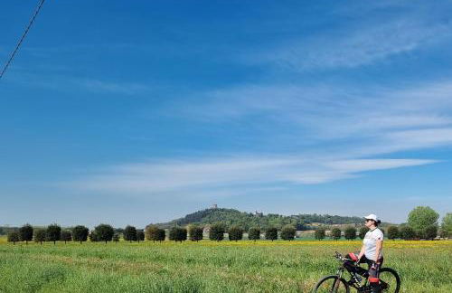 La Vite in Collina Apartment - Foto 14