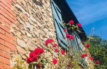 Burleyhayes Barn - Secluded Devon Hideaway. - Photo 26