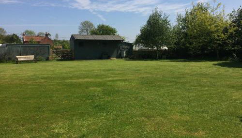 Barn Owl - Photo 2, Garden