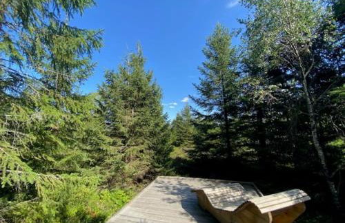 Ferienwohnung Schwarzwald Oase Kniebis - Foto 33