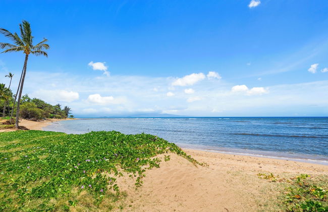 Maui Schooner Resort - Photo 52