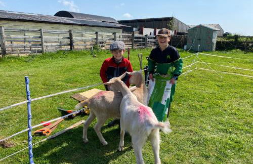 Rew Farm Country and Equestrian Accommodation - Sunset Lodge - Photo 25