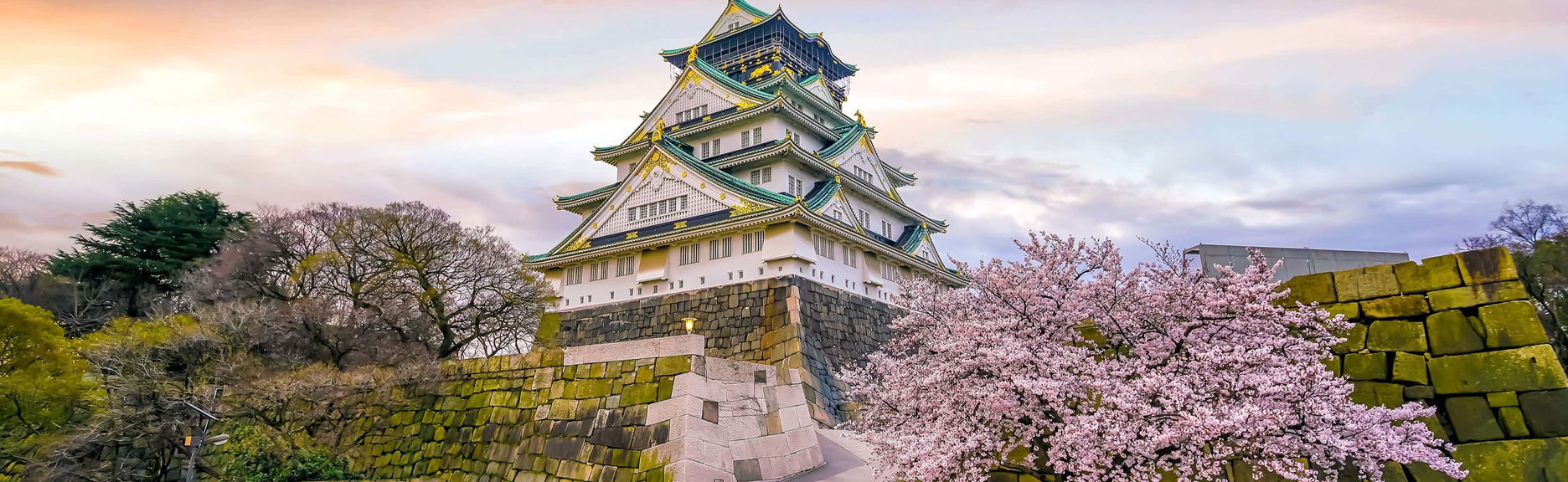 Tour privado por Osaka