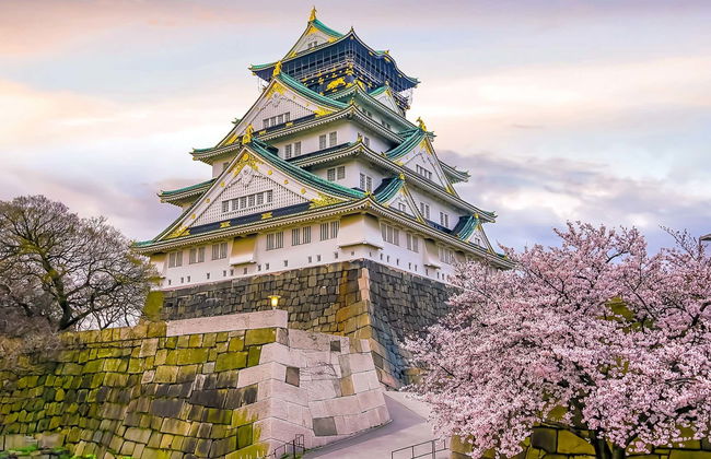 Tour privado por Osaka - Foto 8