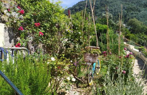 Casa da Rota dos Moinhos - Foto 11