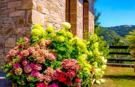 L'Angolo di Verlano - Foto 78