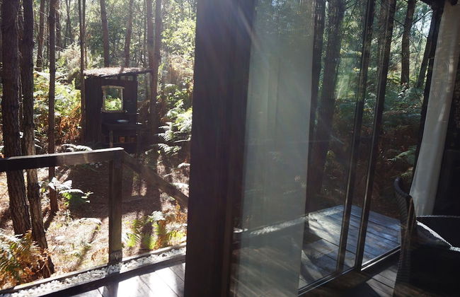 Les Landines - Foto 14