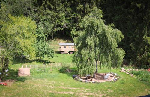 Ferienwohnungen und Gästezimmer Friedrichs - Photo 12