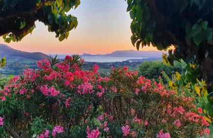 La Maison De La Cadière - Foto 1