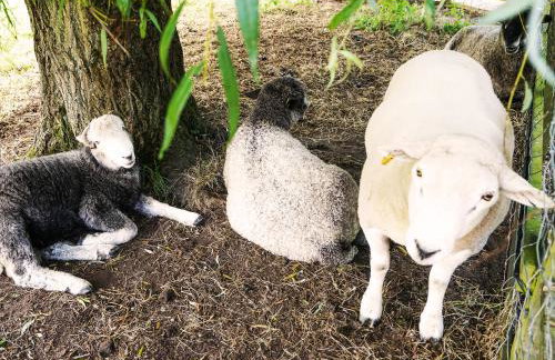 The Workshop by The Suffolk Cottage Collection - Photo 20