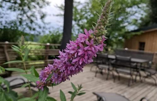 Bernhardsberg - Foto 32