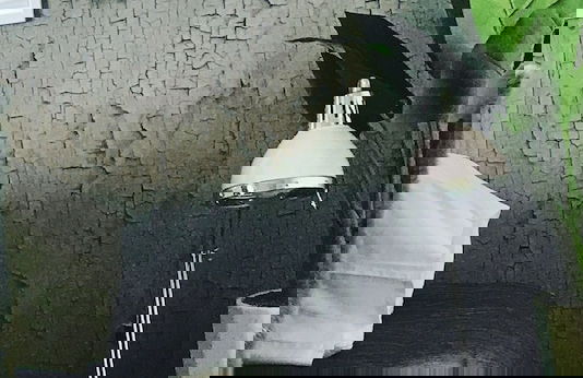 Mangawhai Retreat Apartments - Foto 65