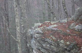 Sunset Ridge Retreat - Foto 50