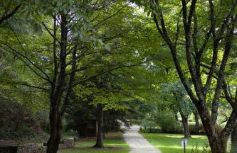 Mon havre de paix, Villa Campagne Charentaise - Foto 43