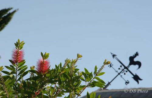 Country House La Cipolla D'oro - Foto 16