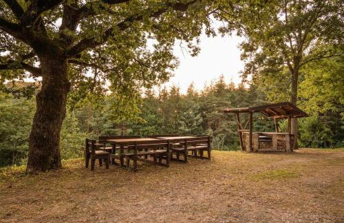 Abissinia, Gioiello nel Bosco - Foto 12