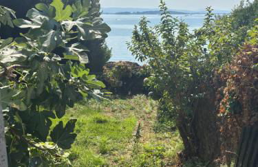 La casa de San Lázaro - Foto 47