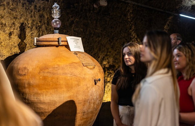 "BODEGAS AMBACIA", Tour y Cata de Vinos en Amboise, Valle del Loira - Foto 15