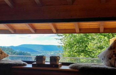 RELAX CHALET Nature Retreat - isolé sur 3 hectares - confort de LUXE - maison entière 150m2 - près de La Bresse - Foto 6