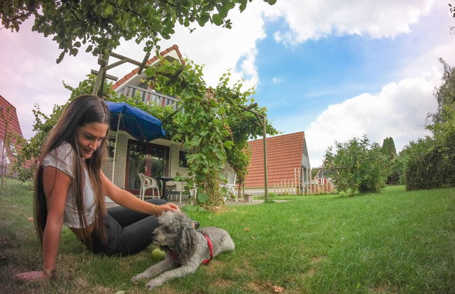 Holiday Home de Druif 6p With a Nice Terrace Near Lake Lauwersmeer - Foto 24