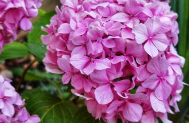 Casa natura - Olib, gem of islands - Photo 40