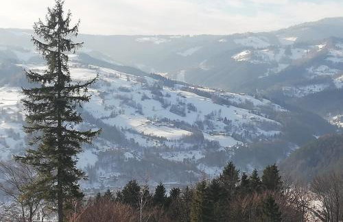 Apartament u Joli - Foto 42