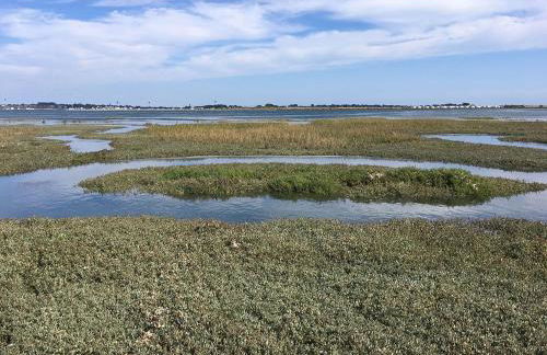 Pioka Loft Art & Surf - Foto 26