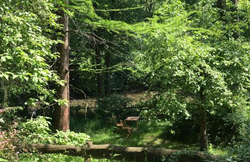 Friedland Ferienwohnung - Foto 8