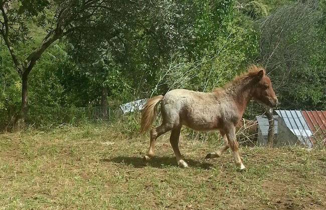 Agriturismo Tenuta del Daino - Photo 22