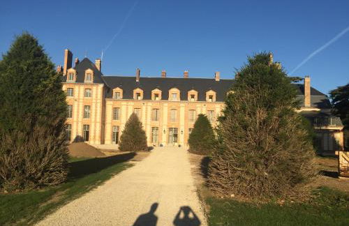 Exceptionnel Château près de Paris - Foto 62