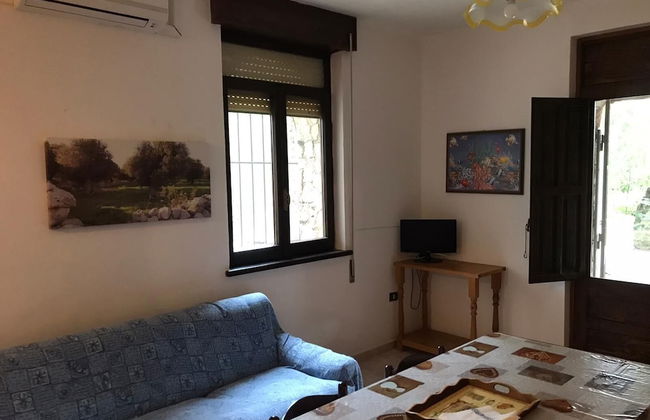 Tenuta la Saracina - Foto 49