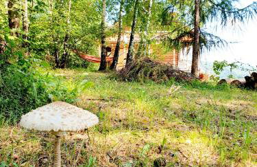 Dom na Kamieńcu - Photo 7