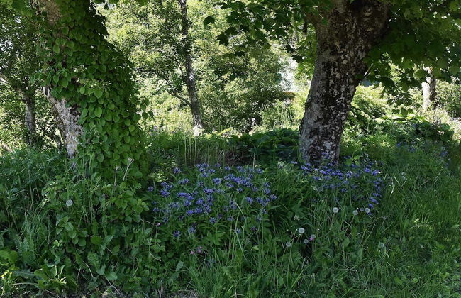 11 Person Holiday Home in Farstad - Foto 65