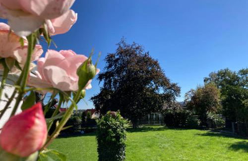 Gipfelglueck-bei-der-Purpurbuche - Foto 23