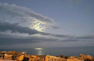 SBT centro - Foto 36