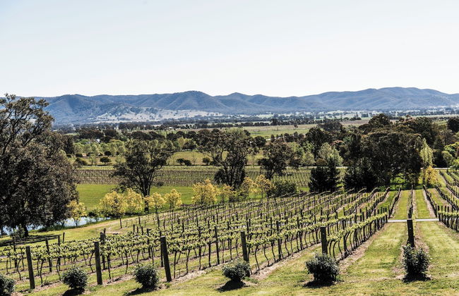 Kirsten Accommodation Mudgee - Photo 76