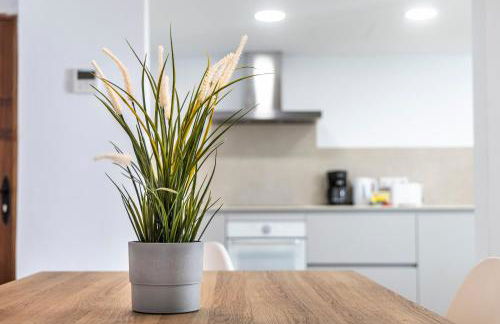 Albercutx Pollentia 2 - Foto 10