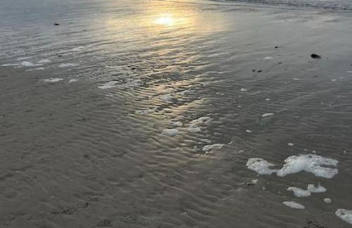 Ferienwohnung Treeneglück - Foto 17