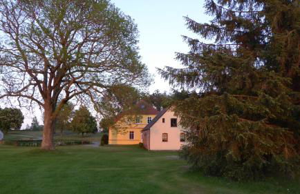 Ferienhaus Gut Rattelvitz Insel Rügen - Foto 45