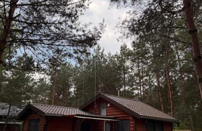 Leśna Chata - Foto 12